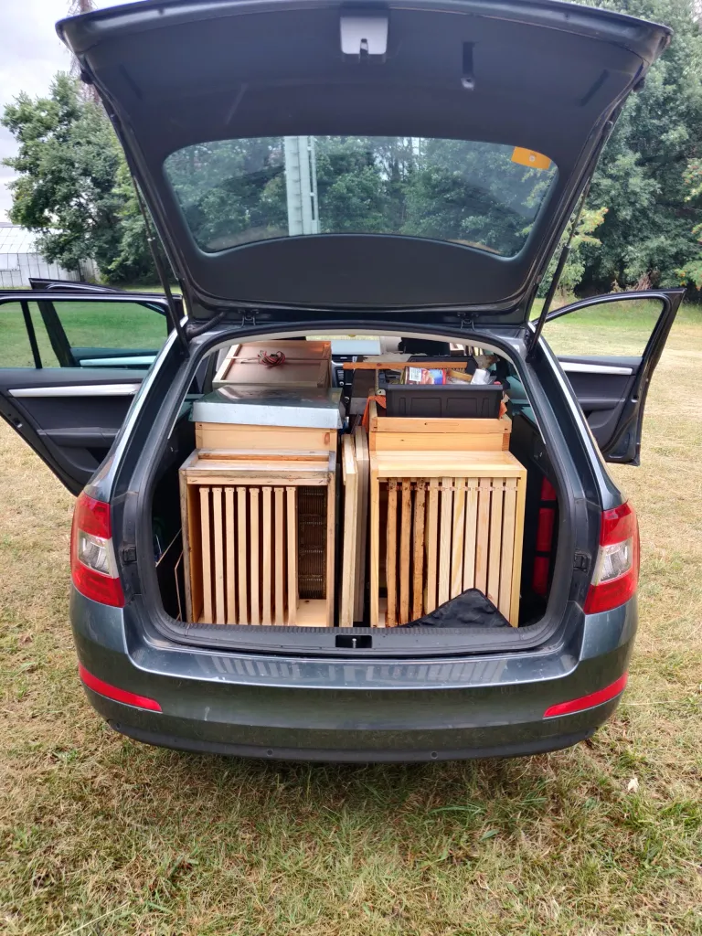 Umzug und Wanderung geht für Dortmunder CaminoImker auch früh morgens