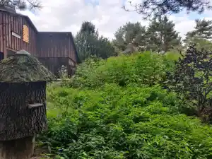 Lehrbienenstand Dortmund Rombergpark KIV