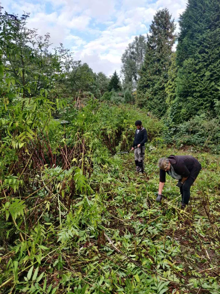 Lehrbienenstand Dortmund Rombergpark KIV