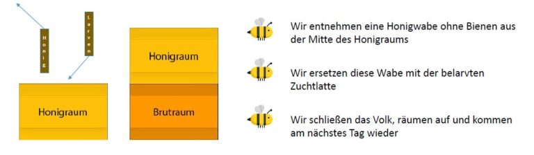 screenshot das gemischte Verfahren