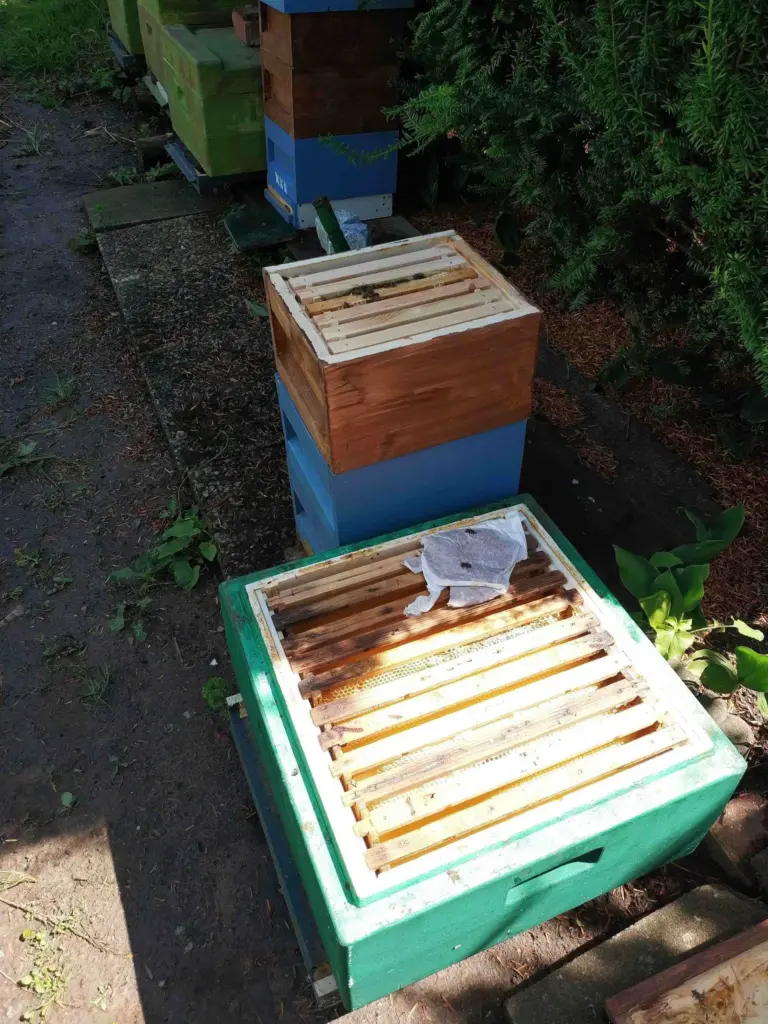 das geschmischte Verfahren