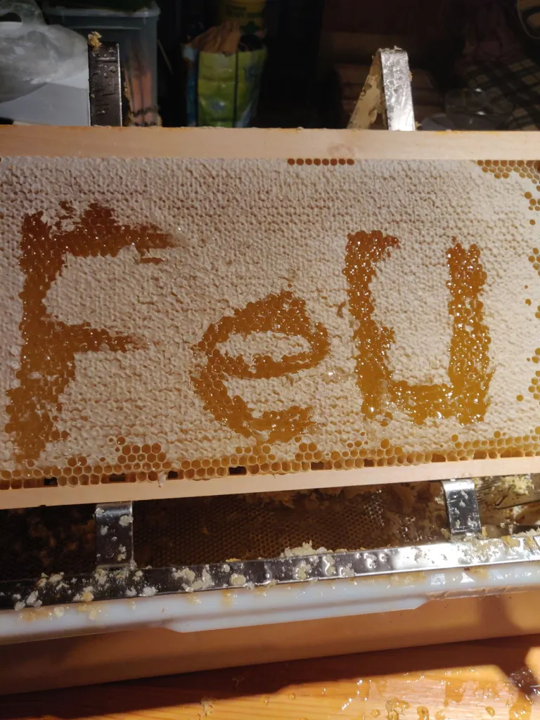 Wabenhonig vom SummendenCampus an der Fernuni #Fernuni-Honig