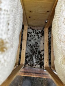 12 totenfall gegenbild3