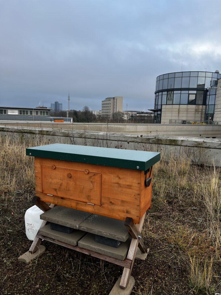 1 skyline westfalencenter