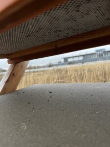 3 blickdurchdengitternetzboden totebienen