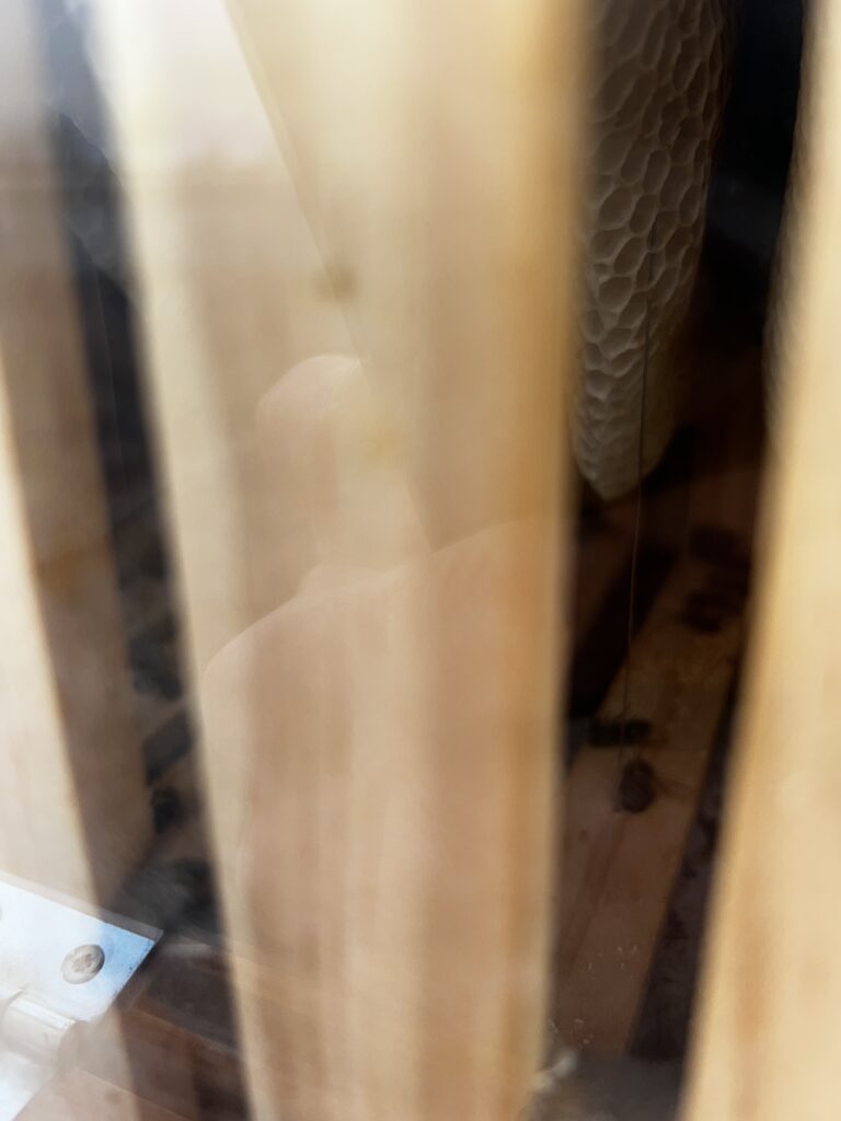 Inhalt Einblick in den Inhalt