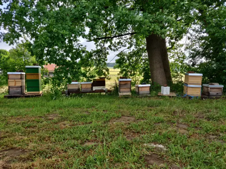 Bienenstand Schwerte Imkerei Howtobee