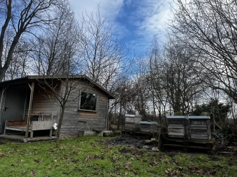 Winterarbeiten sind Sommererfolg - Imkerei Howtobee