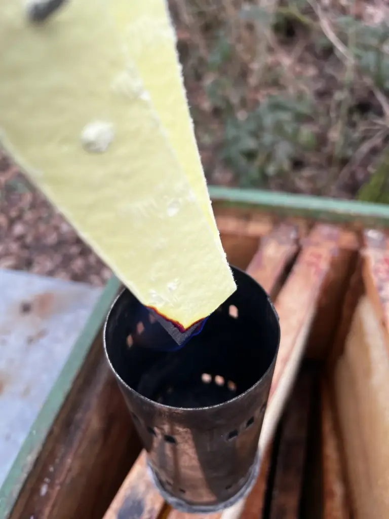 Schwefelstreifen - Winterarbeiten - Sommerarbeiten - Wachsmotte - Howtobee