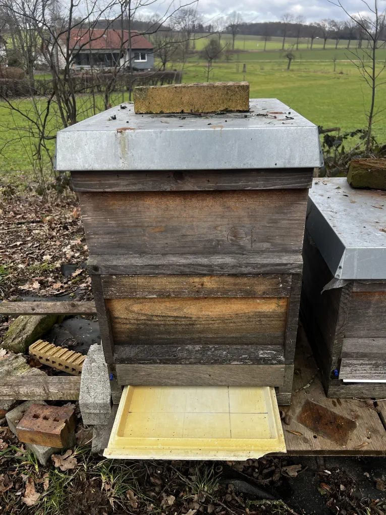 Bodenschieber Gemülldiagnose Varroa