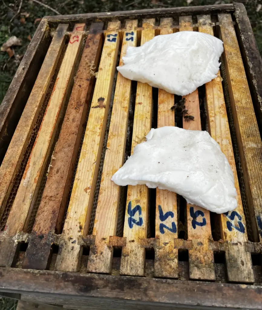 zwei Portionen Futterteig auf Rähmchen aufgelget